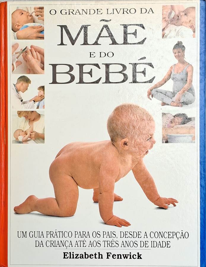 O Grande Livro da Mãe e do Bebê (Elizabeth Fenwick)