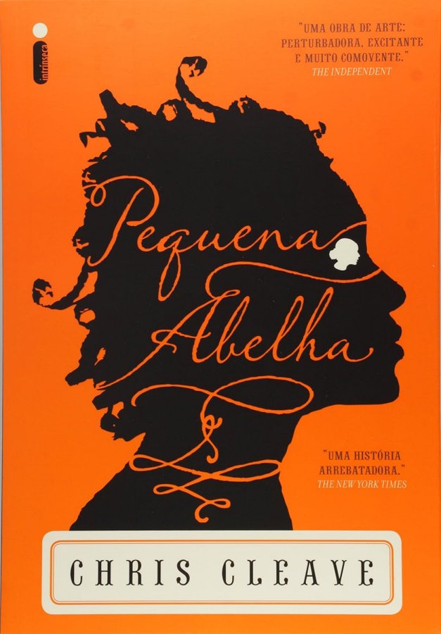 Livro Pequena Abelha, de Chris Cleave, romance publicado pela Intrínseca sobre sobrevivência, imigração, identidade, escolhas e esperança.